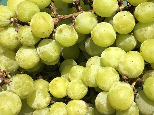 Grapes (Seedless)